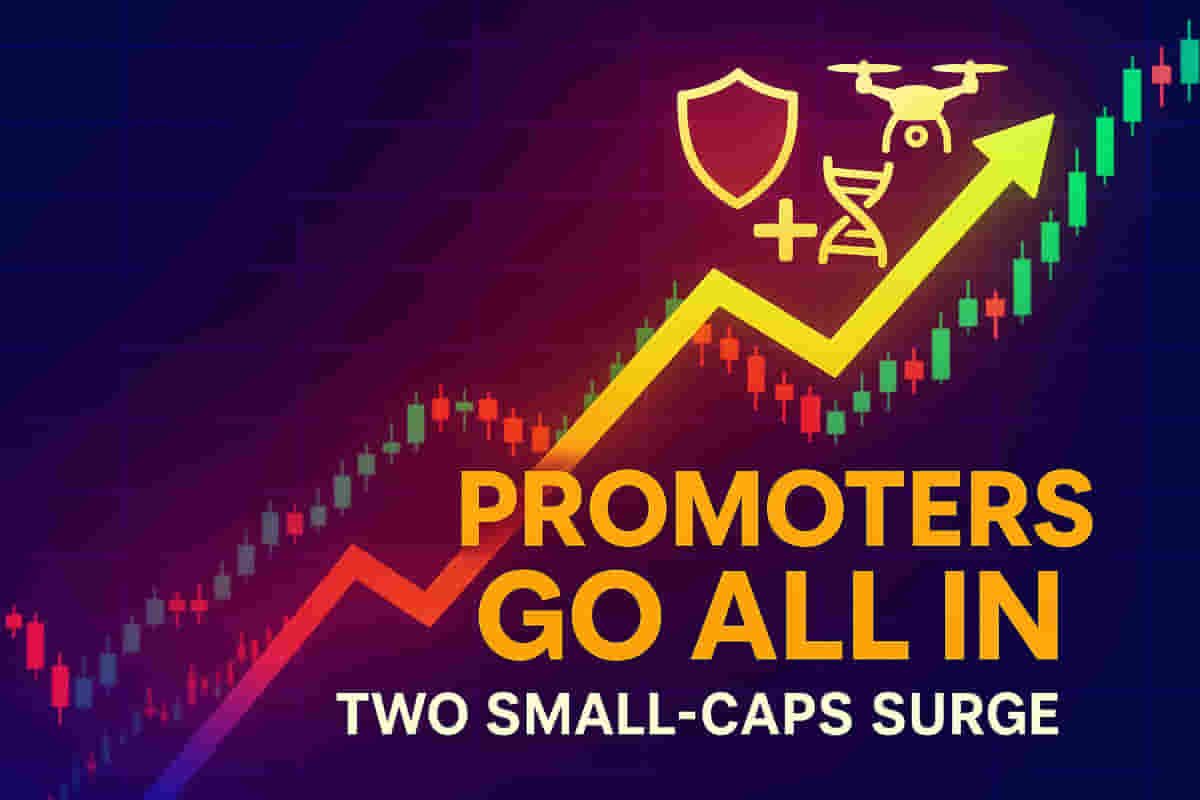 پرموٹرز دی وڈی خریداری! کیہ ایہ 2 سمال-کیپ کمپنیاں بننگیاں اگلی انویسٹمنٹ گولڈ مائن؟