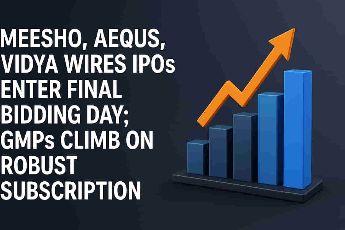 मेगा IPO गर्दी: मीशो, एकुस, विद्या वायर्सचे रेकॉर्ड सबस्क्रिप्शन्स आणि वाढत्या प्रीमियम्समुळे दलाल स्ट्रीटवर धुमाकूळ!