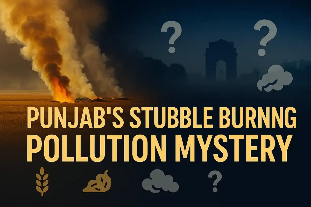 ਪੰਜਾਬ ਦੇ ਲੋਕ ਦਿੱਲੀ ਦੇ ਹਵਾ ਪ੍ਰਦੂਸ਼ਣ ਨਾਲ ਪਰਾਲੀ ਸਾੜਨ ਦੇ ਸਬੰਧ ਨੂੰ ਗਲਤ ਸਮਝਦੇ ਹਨ, ਅਧਿਐਨ ਵਿੱਚ ਪਾਇਆ ਗਿਆ