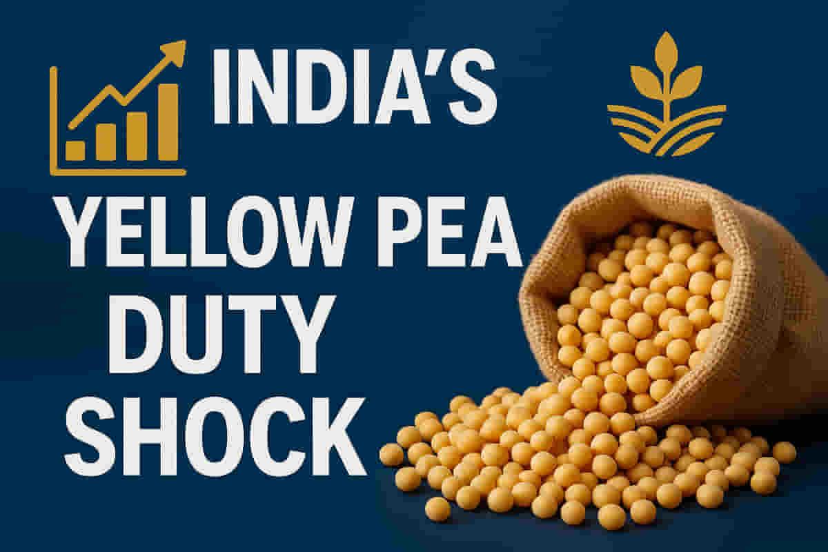 ਭਾਰਤ ਨੇ ਪੀਲੇ ਮਟਰਾਂ 'ਤੇ 30% ਇੰਪੋਰਟ ਡਿਊਟੀ ਲਾਈ