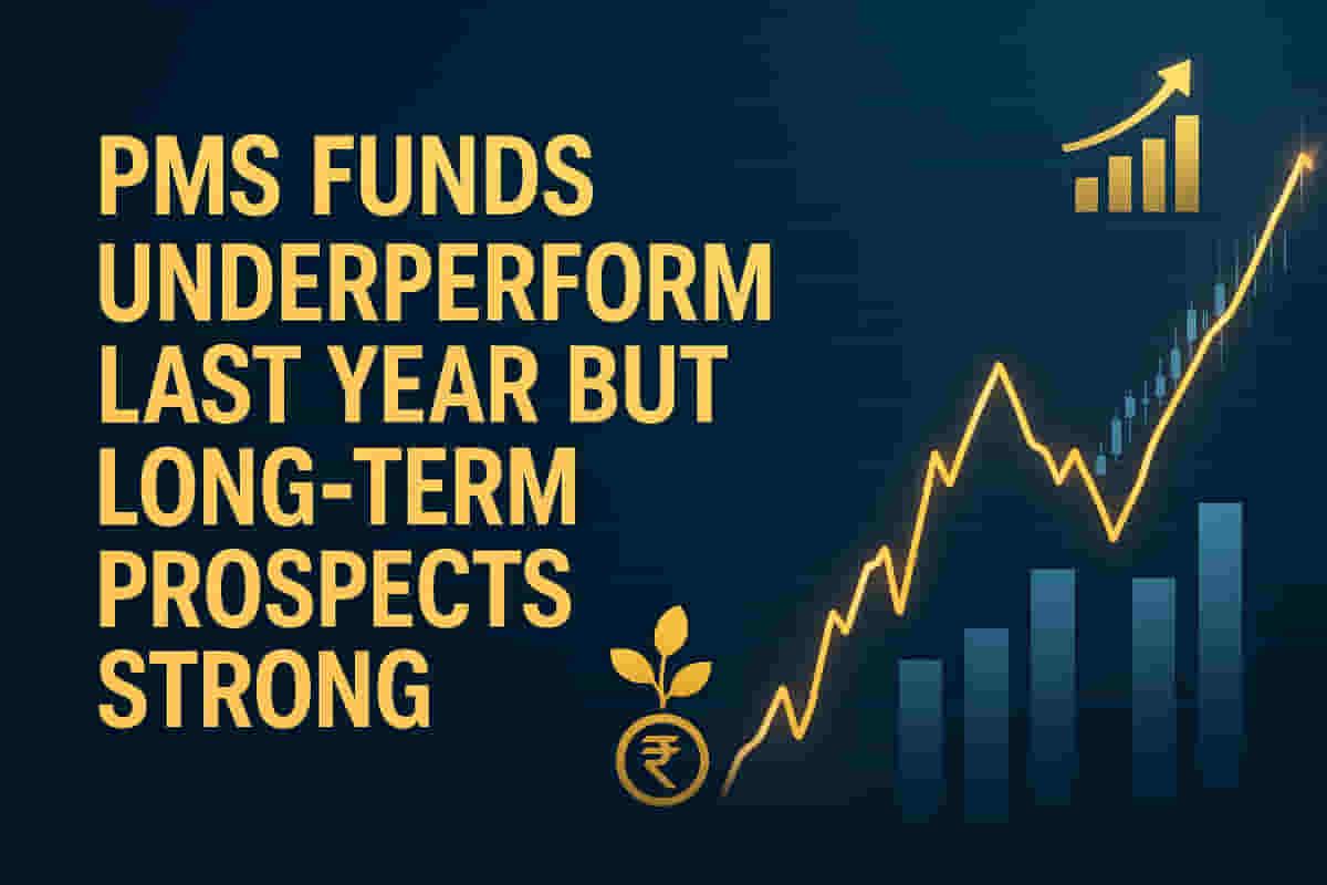 பிஎம்எஸ் வழங்குநர்கள் கடந்த ஆண்டு எதிர்மறை வருமானத்தை அளித்தனர், ஆனால் நீண்ட கால செயல்திறன் வலுவாக இருப்பதாக நிபுணர்கள் கூறுகின்றனர்.